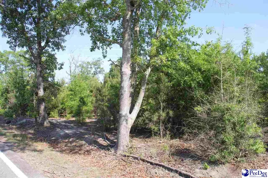 TBD Gallowaytown Road, Hartsville, SC 29550 - #2