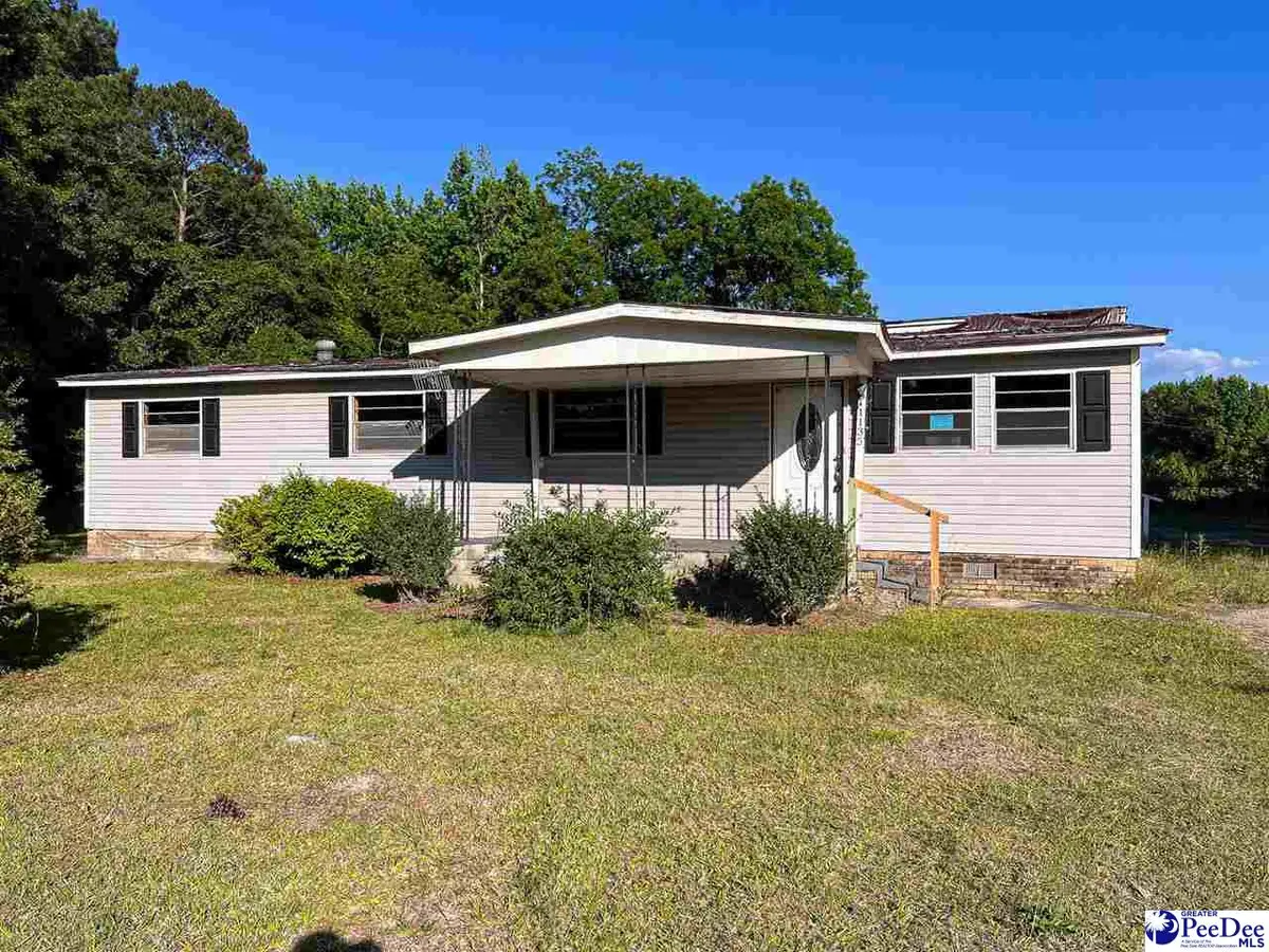 1135 Narrow Paved Rd, Lynchburg, SC 29080 - #1