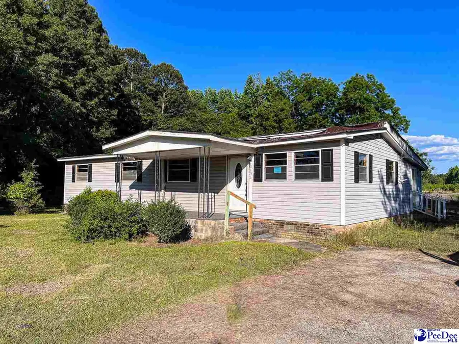 1135 Narrow Paved Rd, Lynchburg, SC 29080 - #2