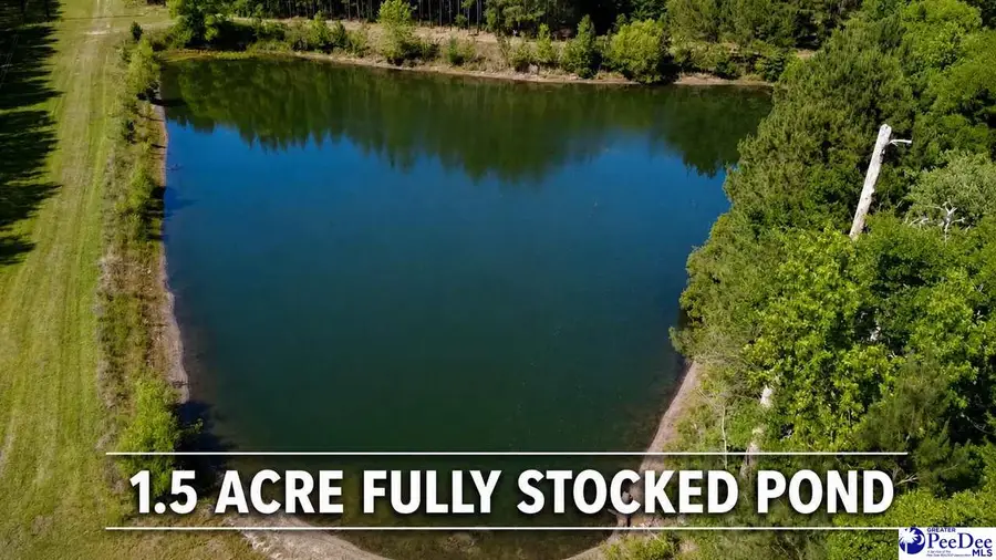 TBD River Neck Rd, Florence, SC 29505 - #2