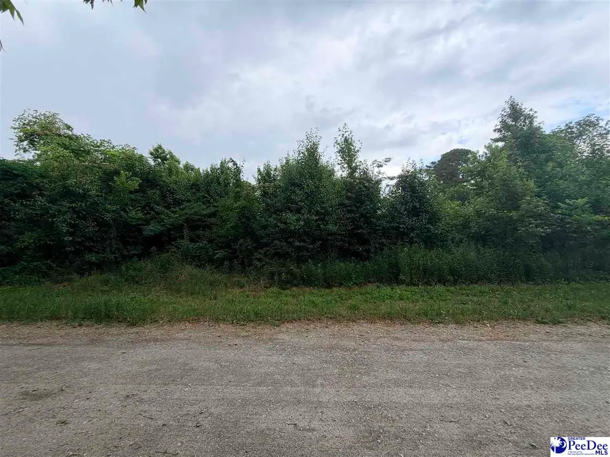 TBD 4th Ave, Lake View, SC 29563 - #1