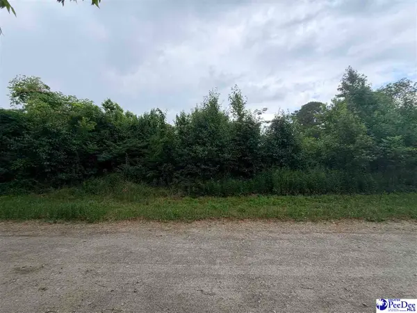 TBD 4th Ave, Lake View, SC 29563