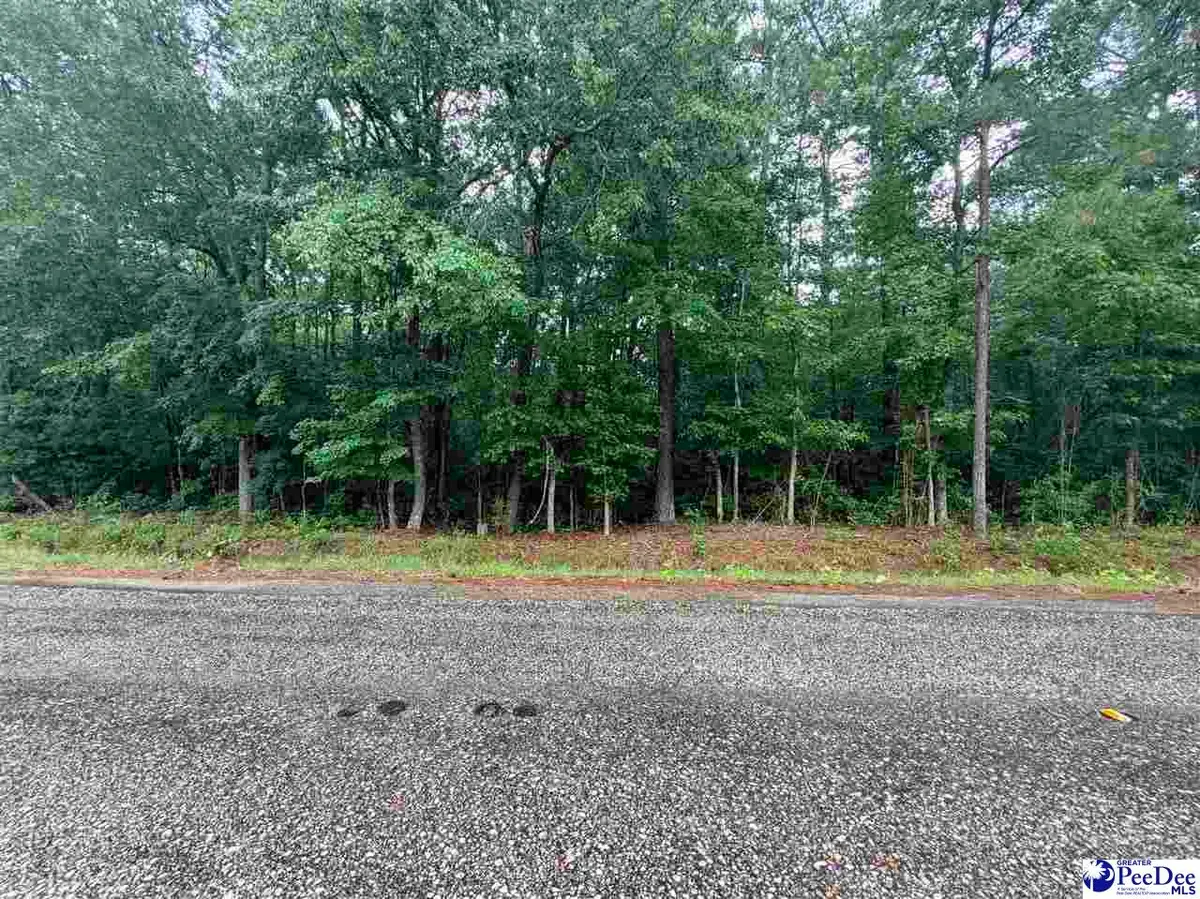 TBD Brookeside Road, Dillon, SC 29536 - #1