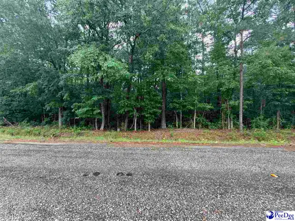 TBD Brookeside Road, Dillon, SC 29536