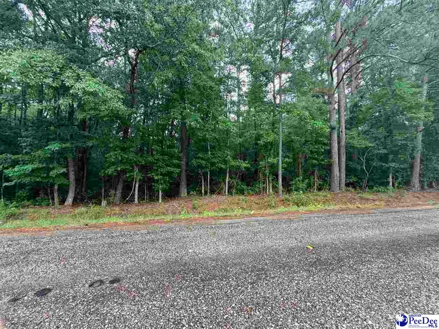 TBD Brookeside Road, Dillon, SC 29536 - #2