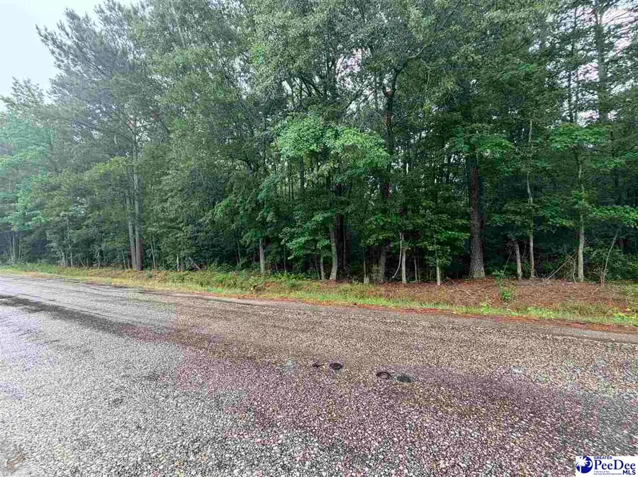 TBD Brookeside Road, Dillon, SC 29536 - #3