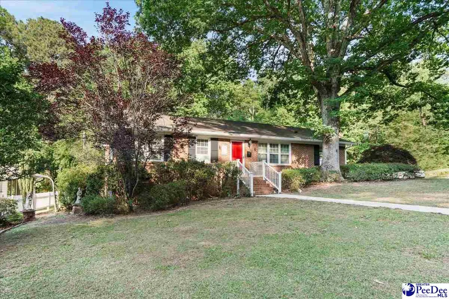 200 River Drive, Chesterfield, SC 29709 - #2