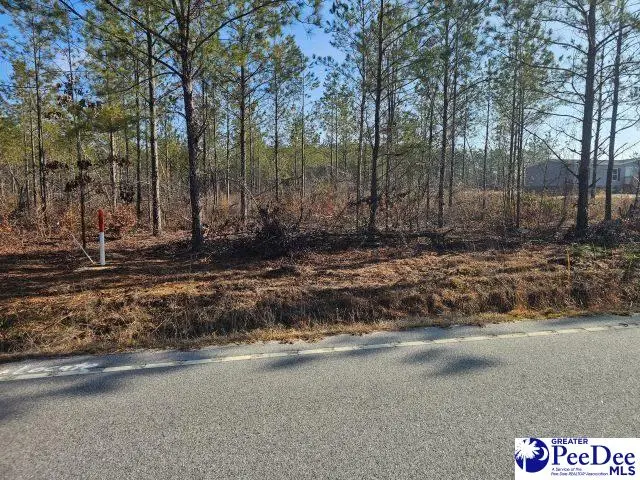 4067 Step Road, Wallace, SC 29596 - #2