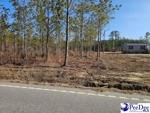 4067 Step Road, Wallace, SC 29596 - #3