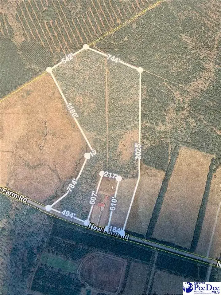 New Farm Rd, Hemingway, SC 29554 - #2