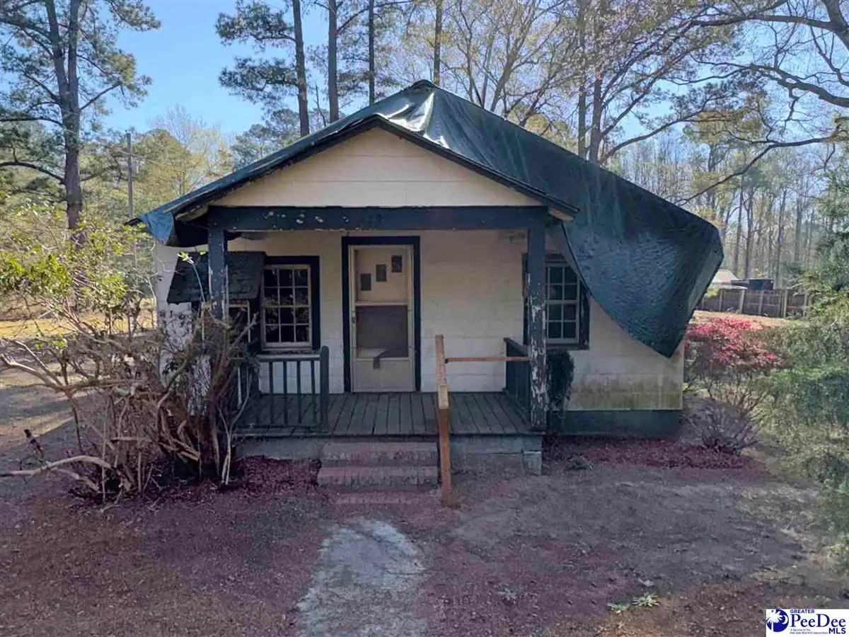 619 Cc Chapman Road, Cheraw, SC 29520 - #1
