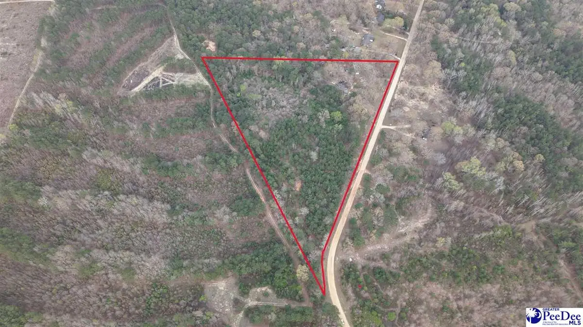 1161 Clyde School Road, Hartsville, SC 29550 - #1