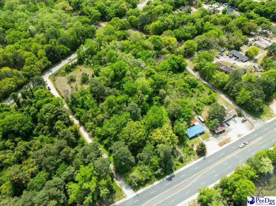 2.95 acres Warehouse Road, Hartsville, SC 29550 - #2
