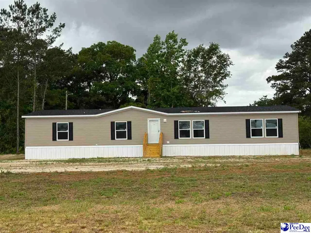 1006 Gause Canal Rd, Coward, SC 29530 - #1
