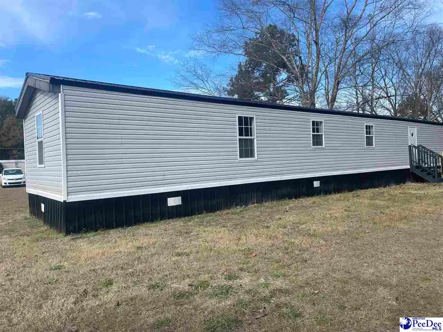 117 Buck Springs Ln, Cheraw, SC 29520 - #2