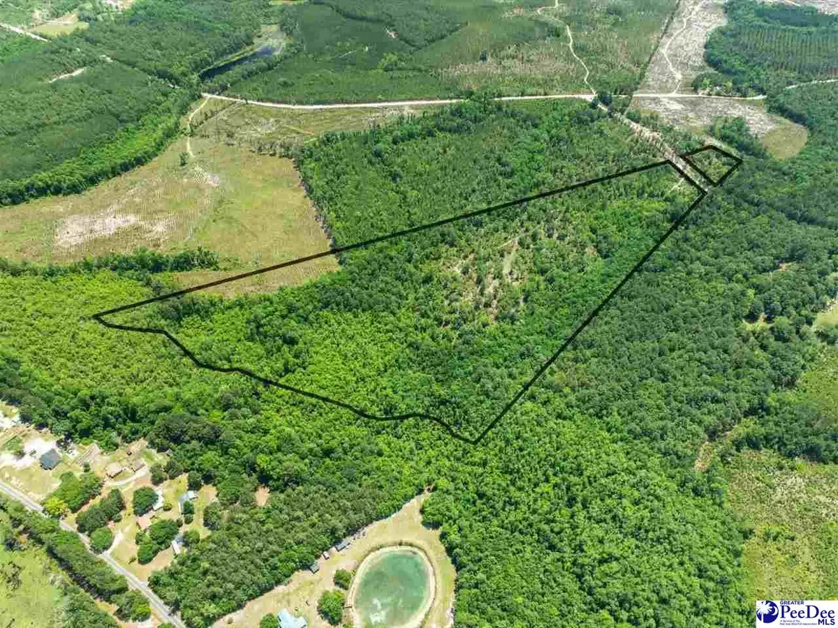 Crowley Rd, Patrick, SC 29584 - #1