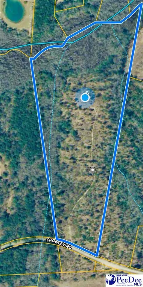 Crowley Rd, Patrick, SC 29584 - #2