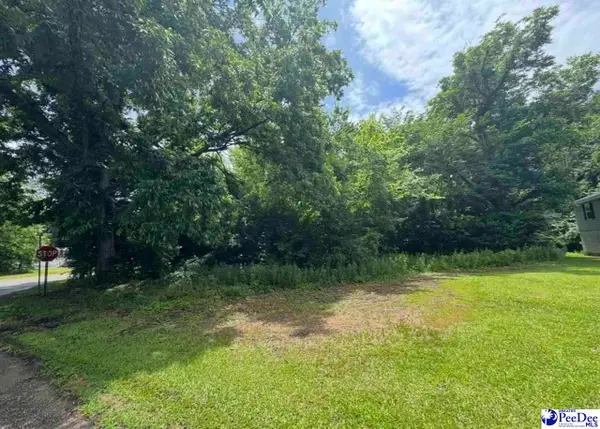 2600 Bank St, Sellers, SC 29592