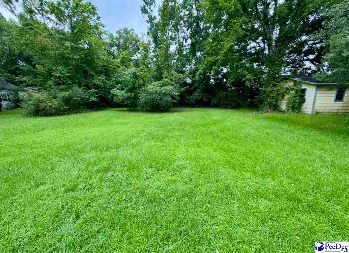 TBD Bank St, Sellers, SC 29592 - #1