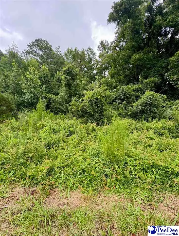 TBD Highway 301, Sellers, SC 29592 - #1