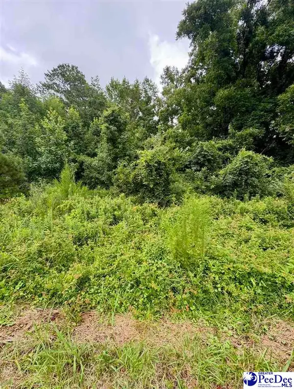 TBD Highway 301, Sellers, SC 29592