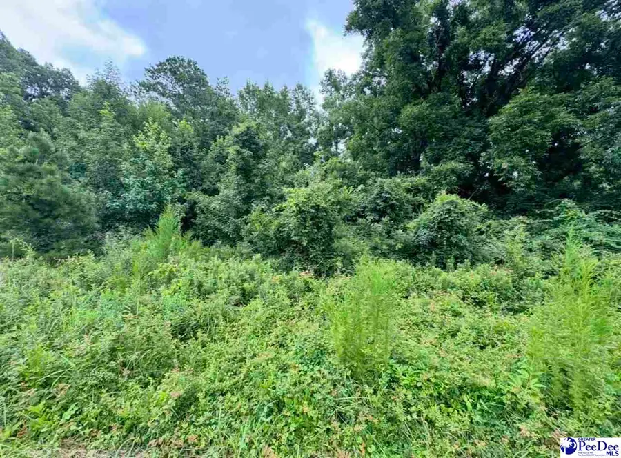 TBD Highway 301, Sellers, SC 29592 - #2