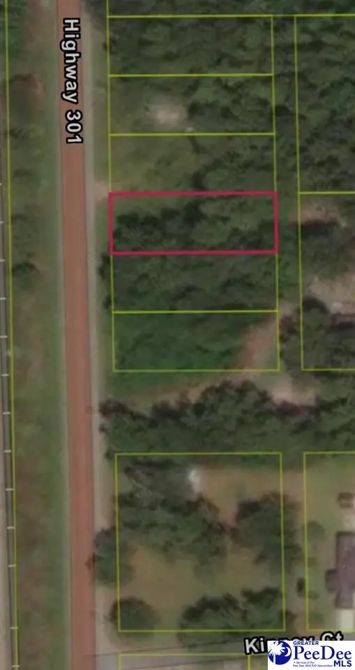 TBD Highway 301, Sellers, SC 29592 - #3