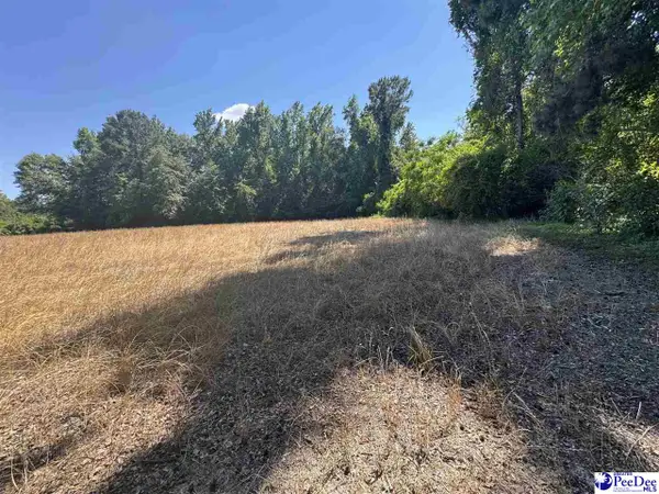TBD Lum Vereen Rd., Nichols, SC 29581