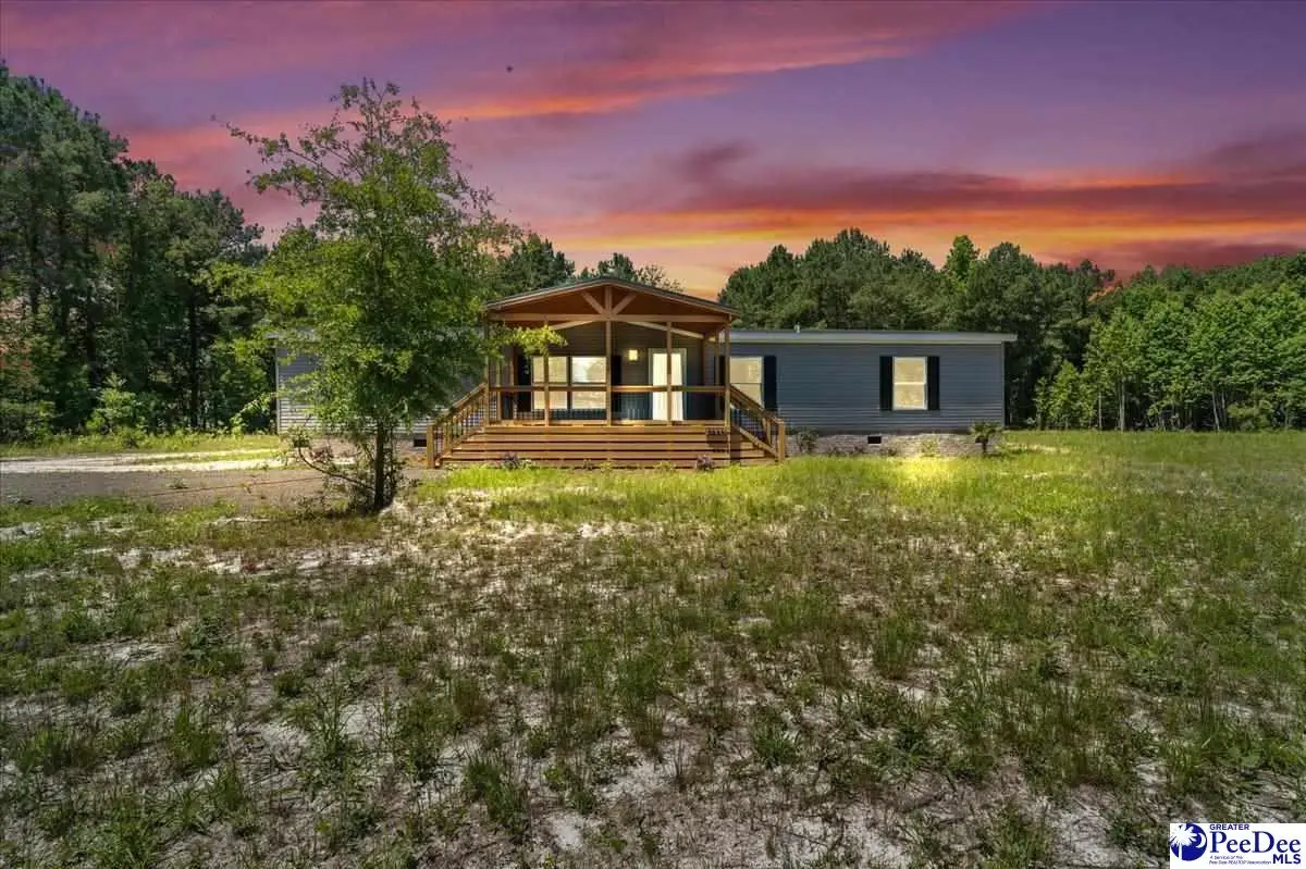 2823 N Old River Rd, Pamplico, SC 29583 - #1