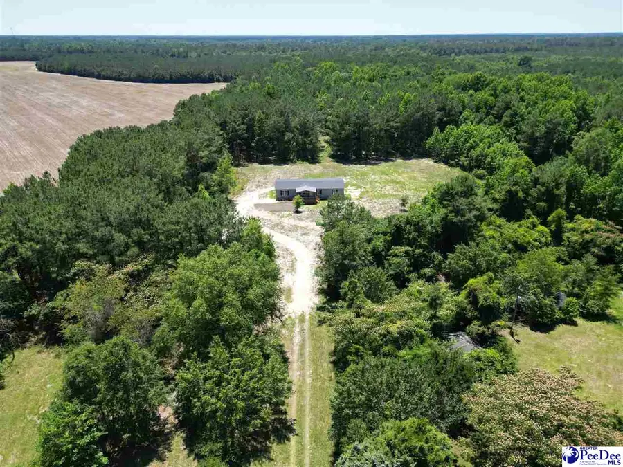 2823 N Old River Rd, Pamplico, SC 29583 - #2