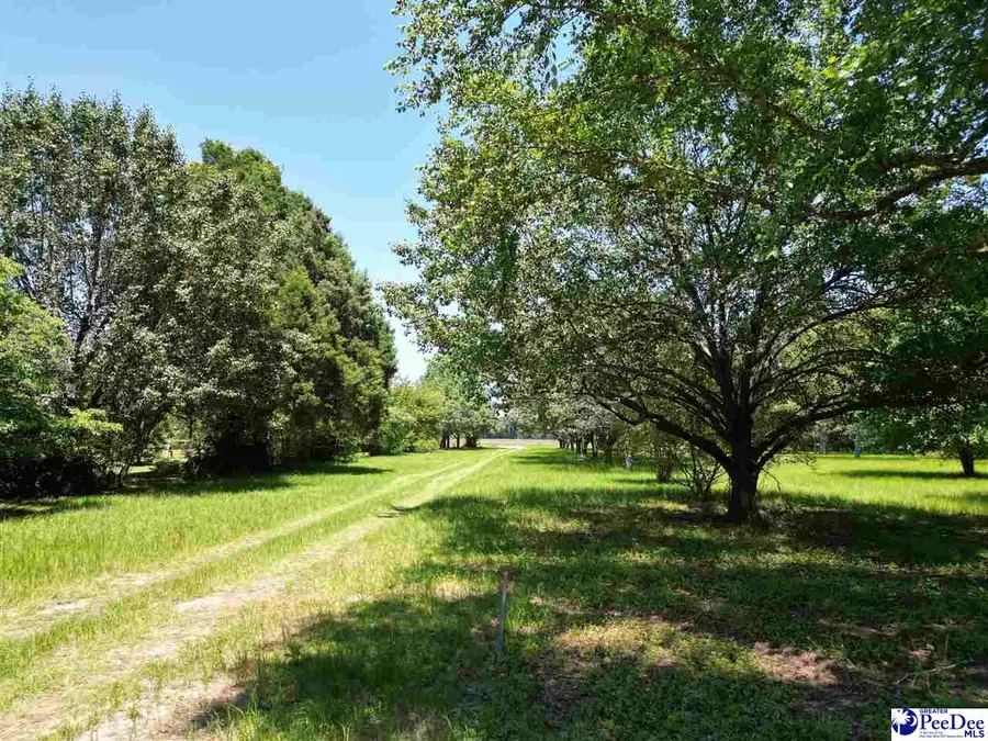 2823 N Old River Rd, Pamplico, SC 29583 - #3