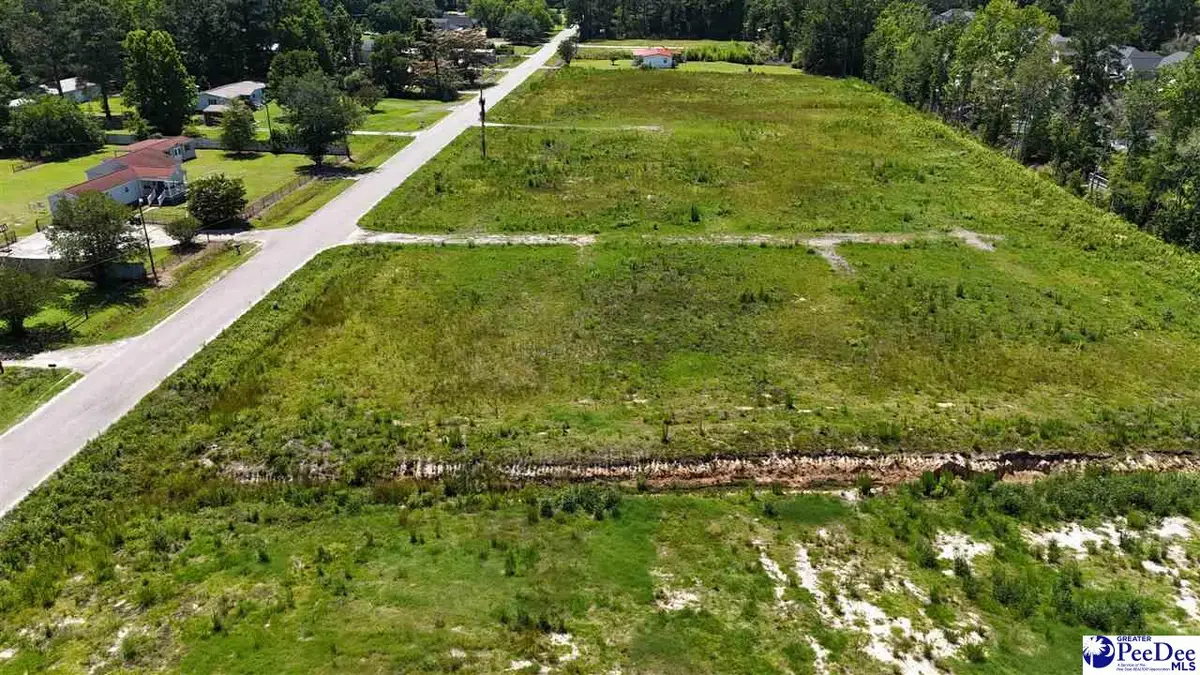 TBD E Chapel View Dr, Florence, SC 29505 - #1