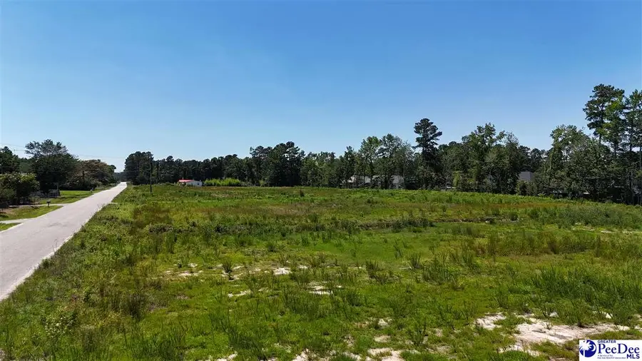 TBD E Chapel View Dr, Florence, SC 29505 - #2