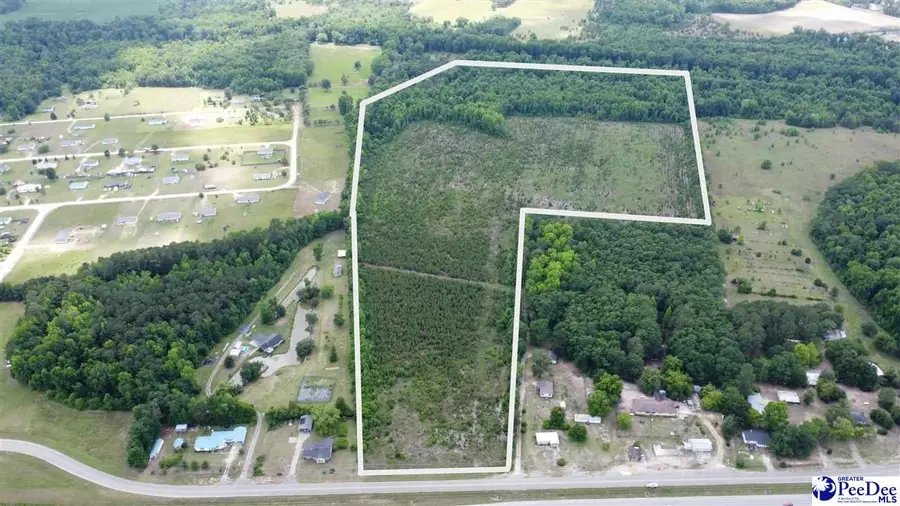 TBD Christmas Farm Rd. +/-56.6ac, Latta, SC 29565 - #2