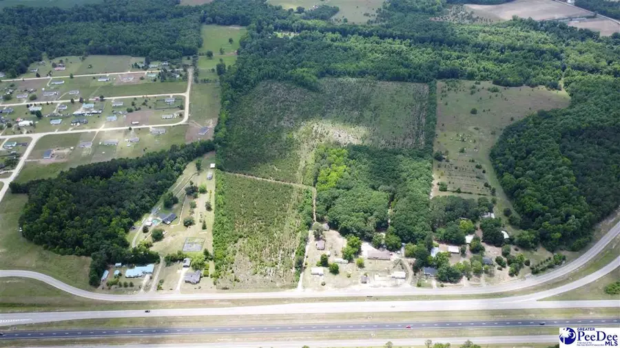 TBD Christmas Farm Rd. +/-56.6ac, Latta, SC 29565 - #3