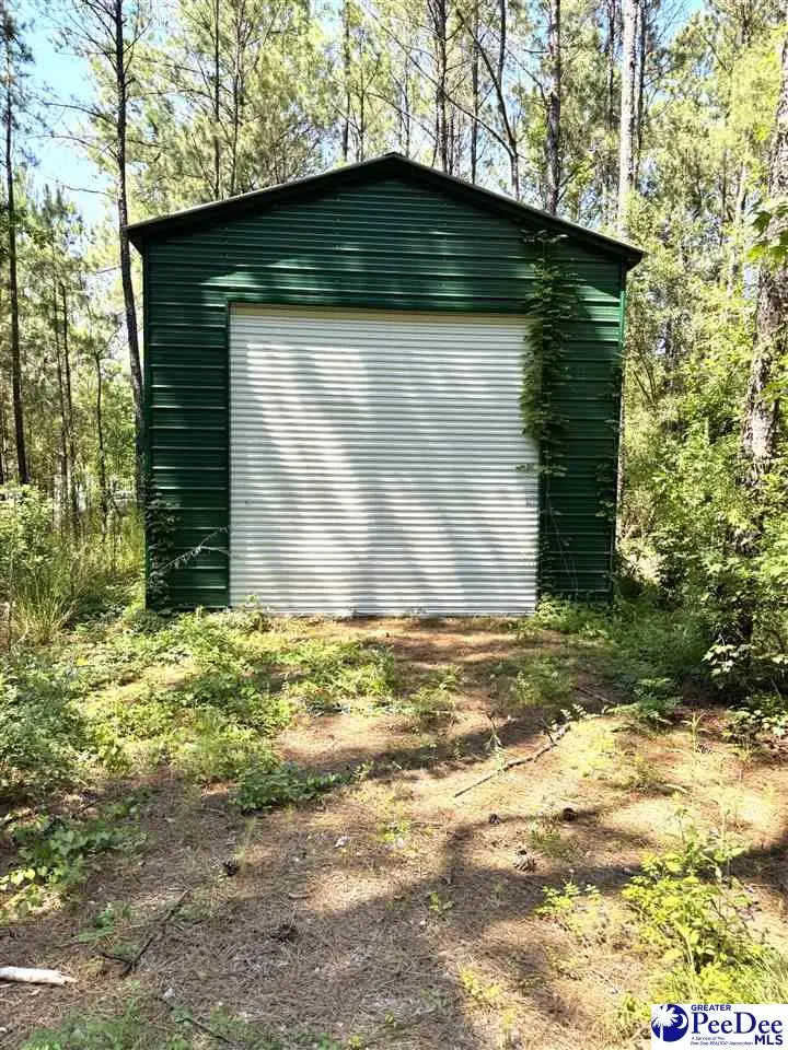 7 Orange Blossom Street (lot 18), Andrews, SC 29510 - #3