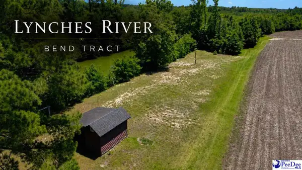 TBD Old Georgetown Rd, Coward, SC 29530
