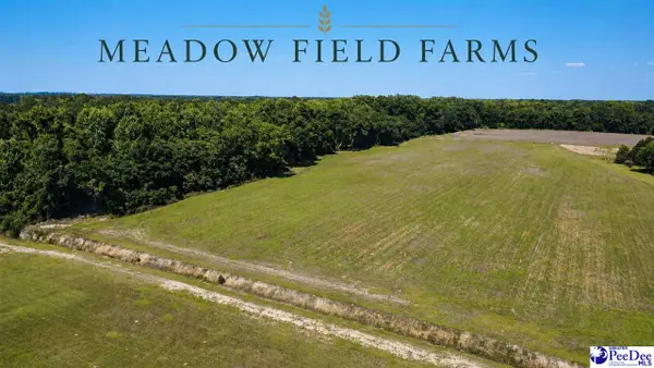 TBD N. Bethel Rd (field), Scranton, SC 29591