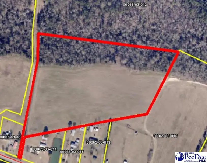 TBD N. Bethel Rd (field), Coward, SC 29591 - #2