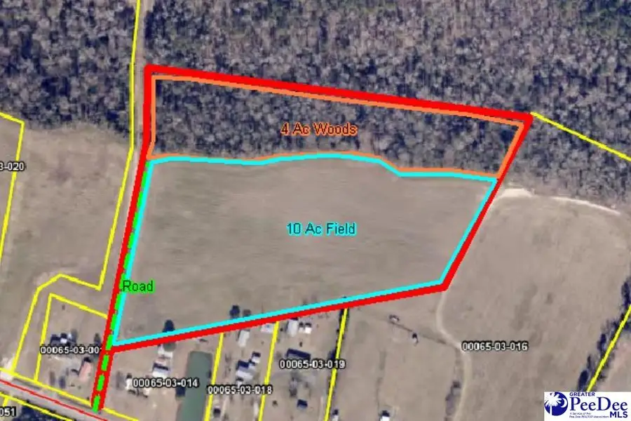 TBD N. Bethel Rd (field), Coward, SC 29591 - #3