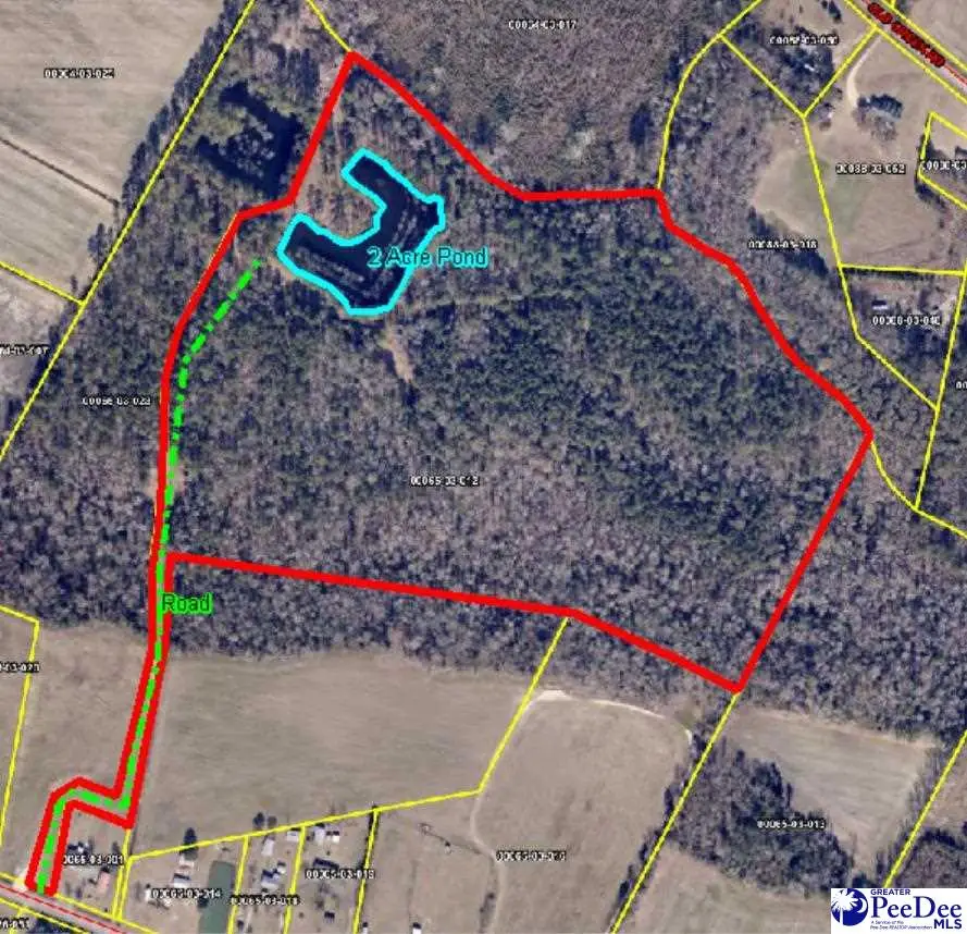 TBD N. Bethel Rd (woods), Scranton, SC 29591 - #2
