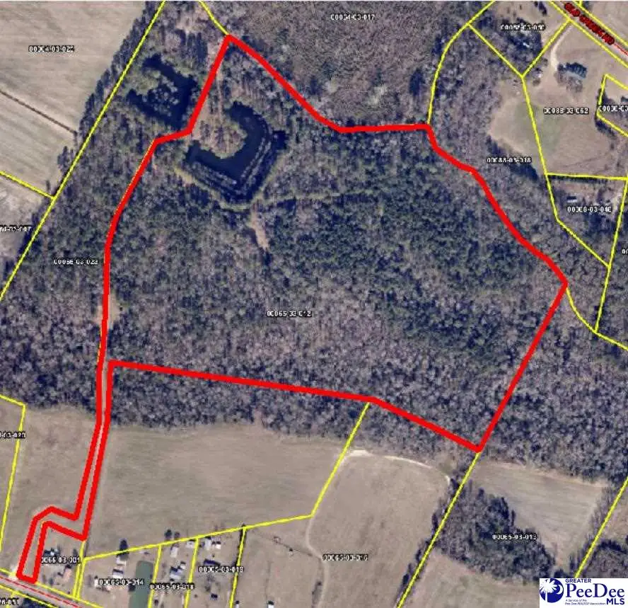 TBD N. Bethel Rd (woods), Scranton, SC 29591 - #3
