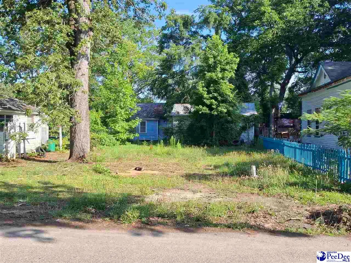 210 Bouchier St., Bennettsville, SC 29512-3902 - #1