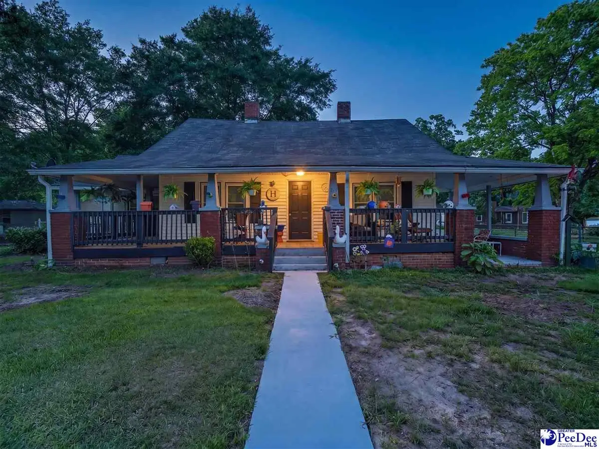 224 Godfrey Street, Cheraw, SC 29520 - #1