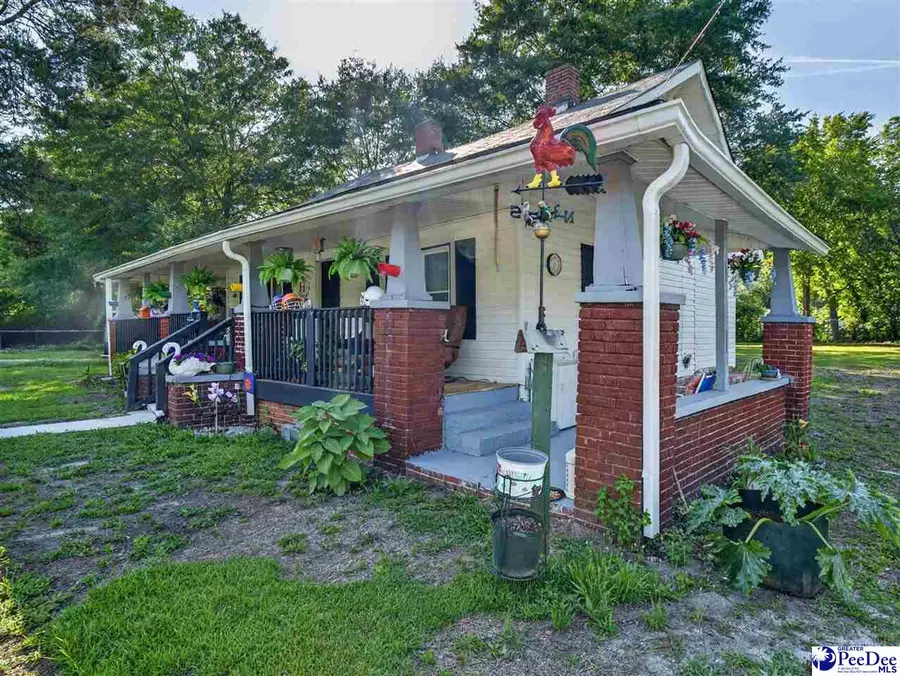 224 Godfrey Street, Cheraw, SC 29520 - #3