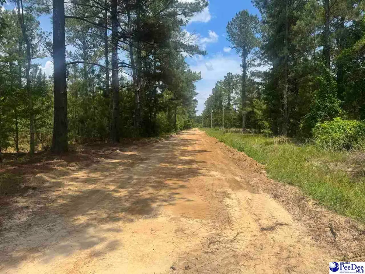 719 1/2 and 721 Ruth Rd, Coward, SC 29530 - #1