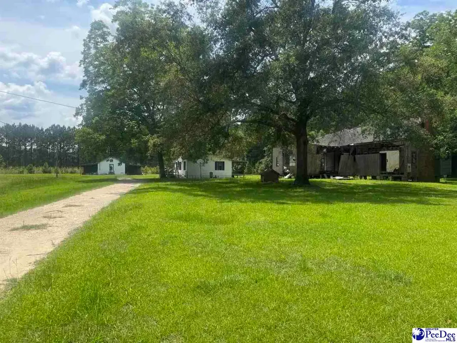719 1/2 and 721 Ruth Rd, Coward, SC 29530 - #2