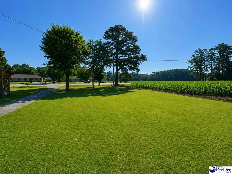 6012 Oates Hwy, Timmonsville, SC 29161 - #3