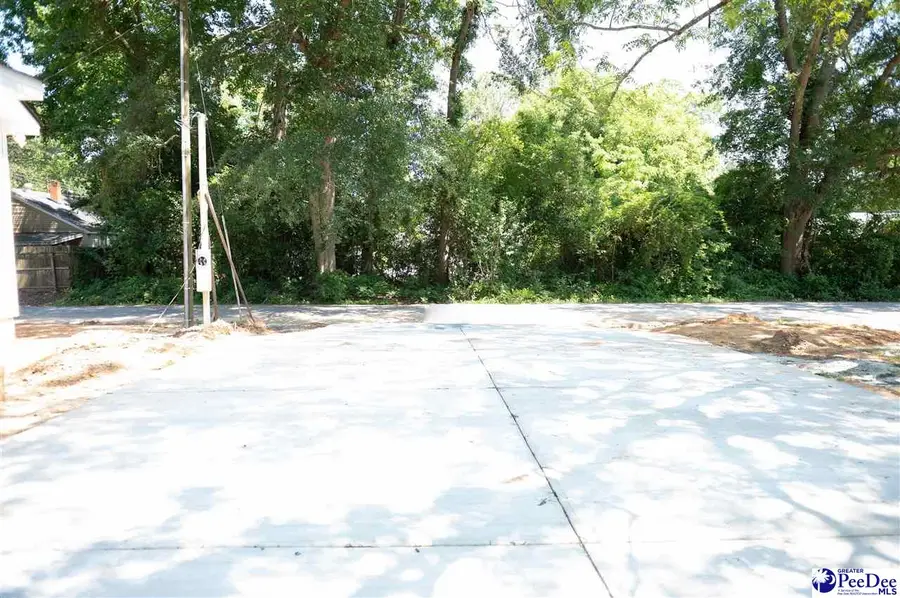 503 N Main St, Darlington, SC 29532 - #3