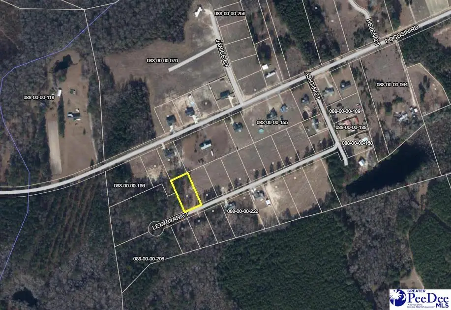 304 Lexyryan Court, Latta, SC 29565 - #1